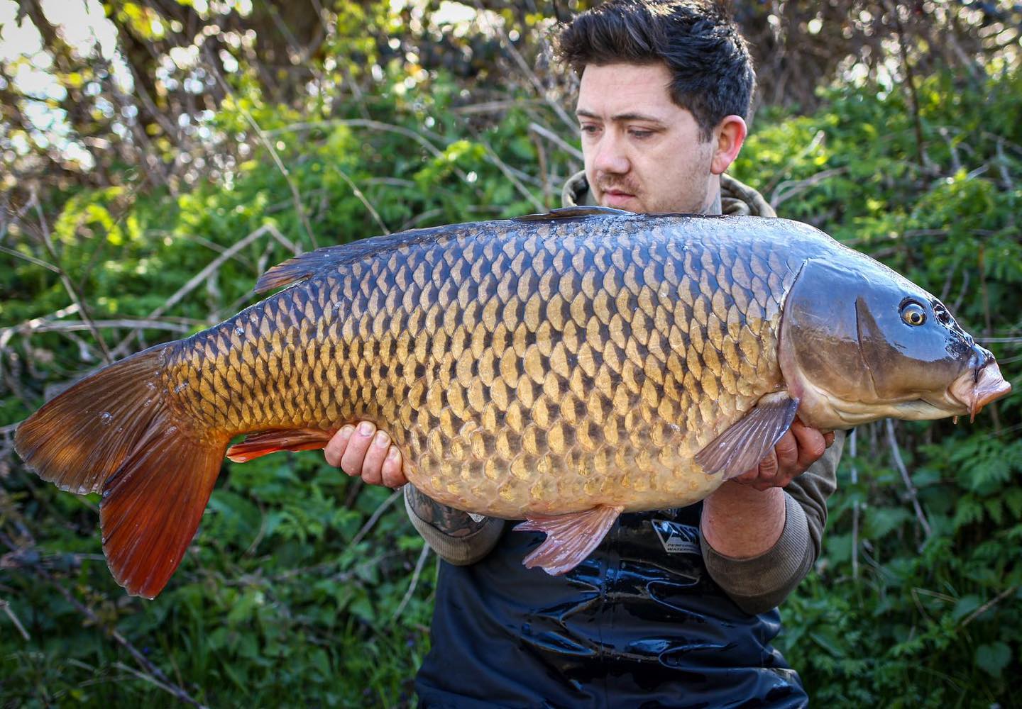 179254788_3662132480575528_4801837501641504116_n