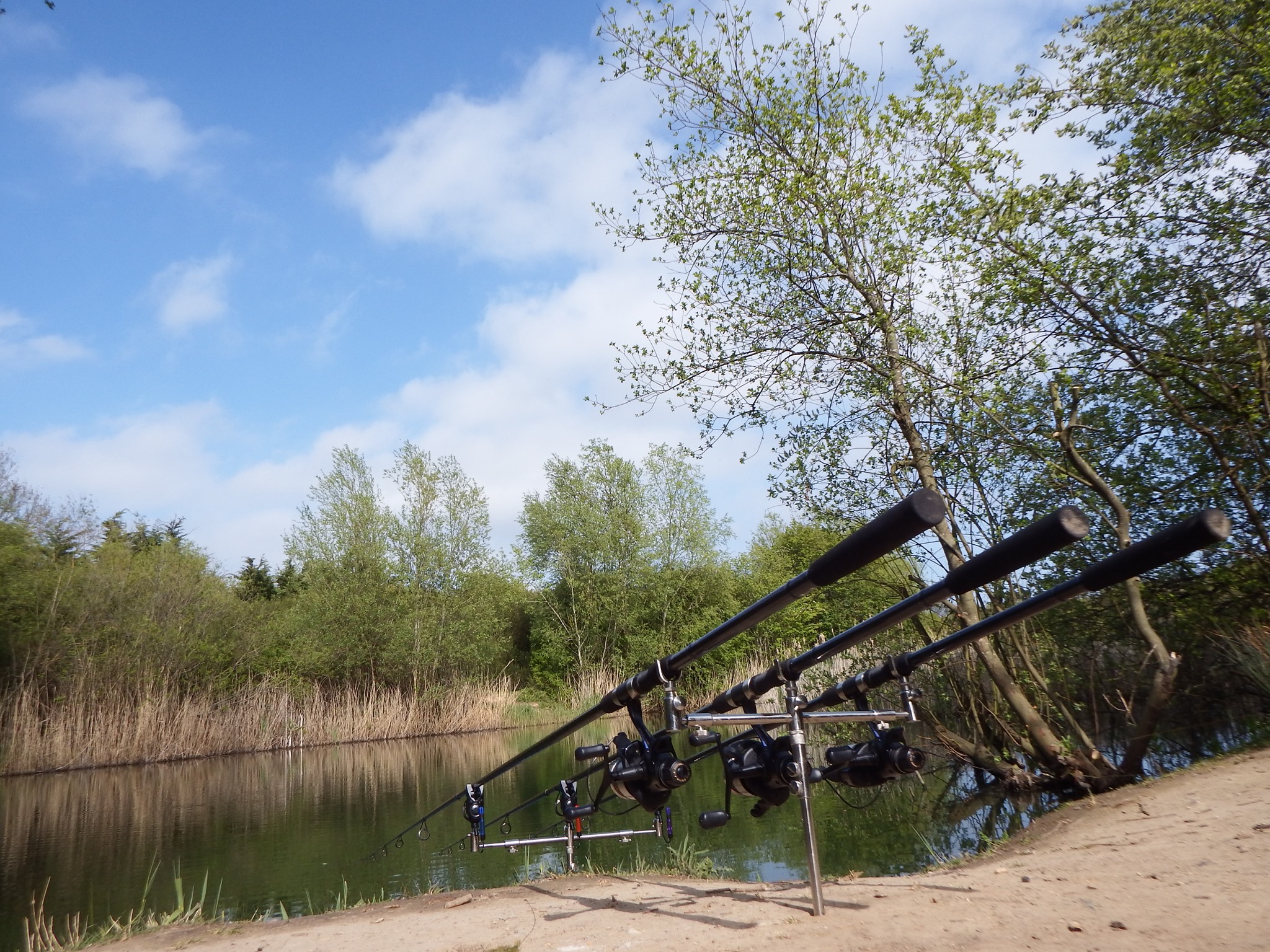 480409278_1157056313087891_5437093142519074247_n